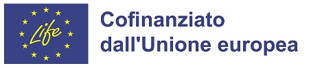 UE