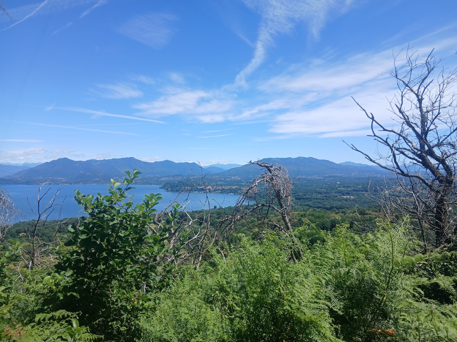 panorama