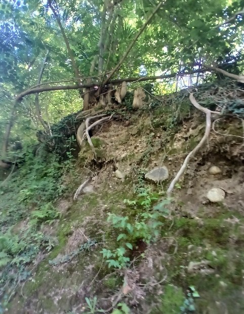 foto geologia versante