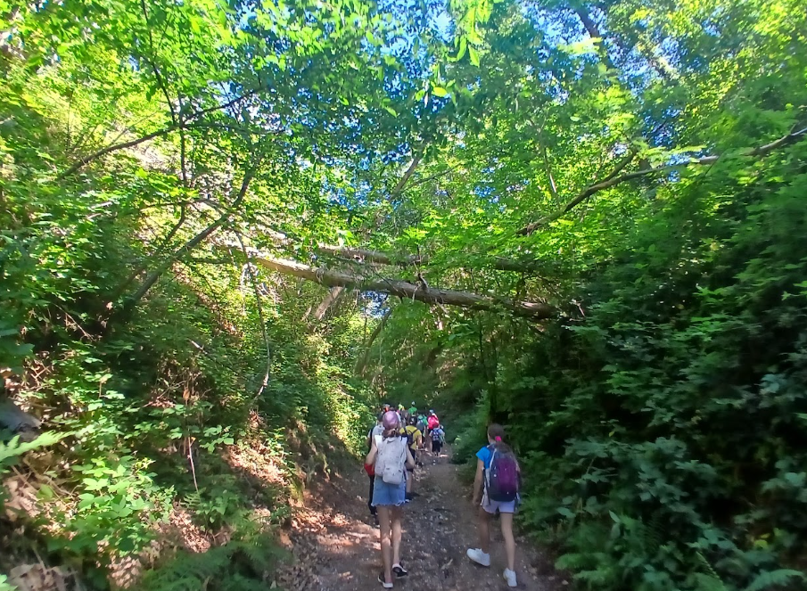 bambinelli in cammino 