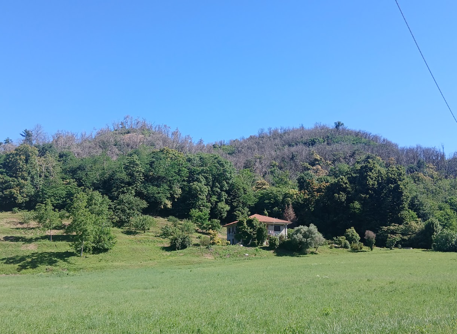 collina incendio 