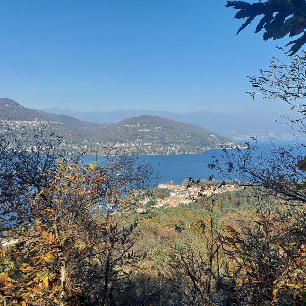 Panorama lago